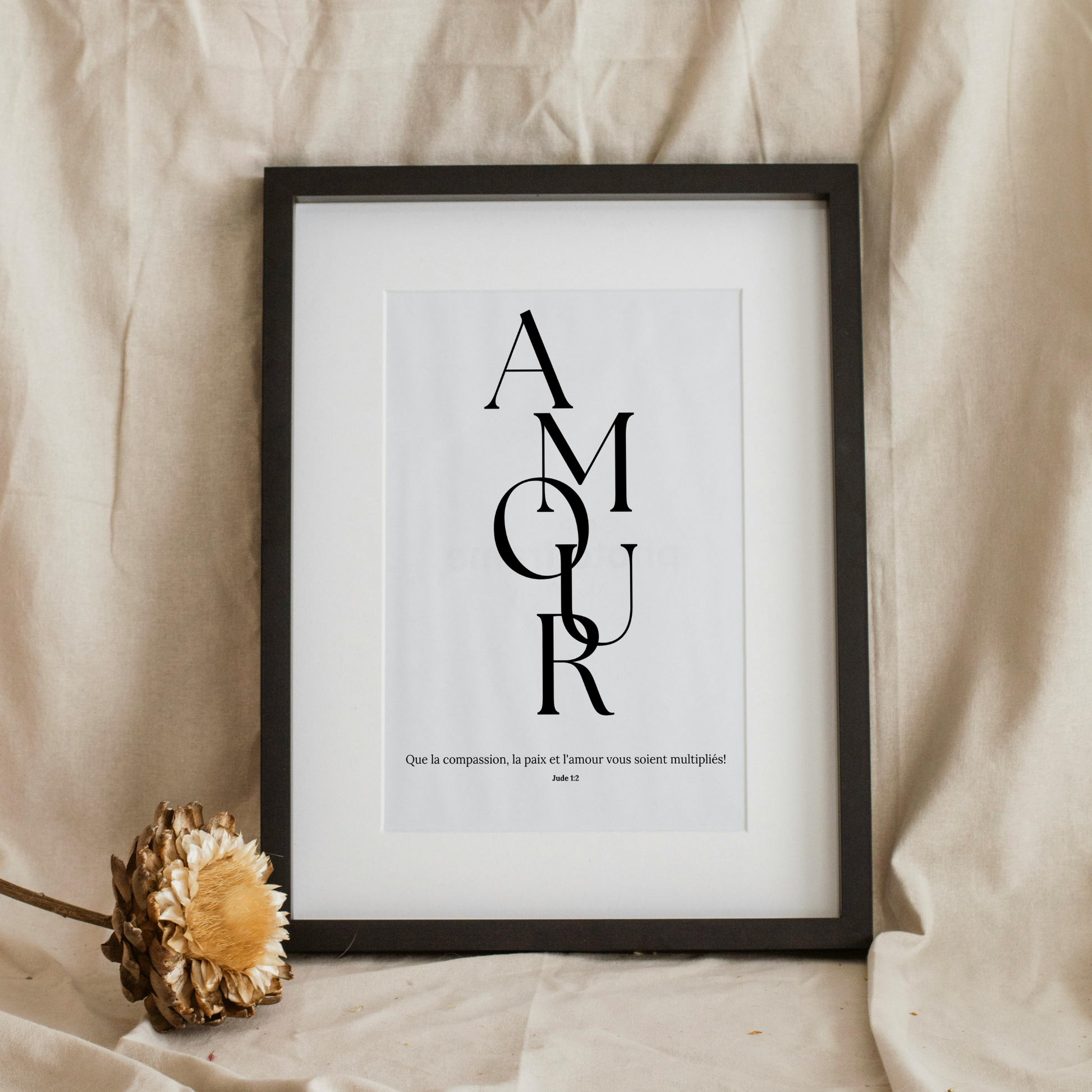 Amour Multipliés